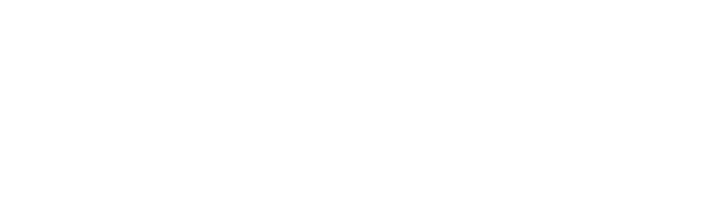 Tsunami: The Aftermath