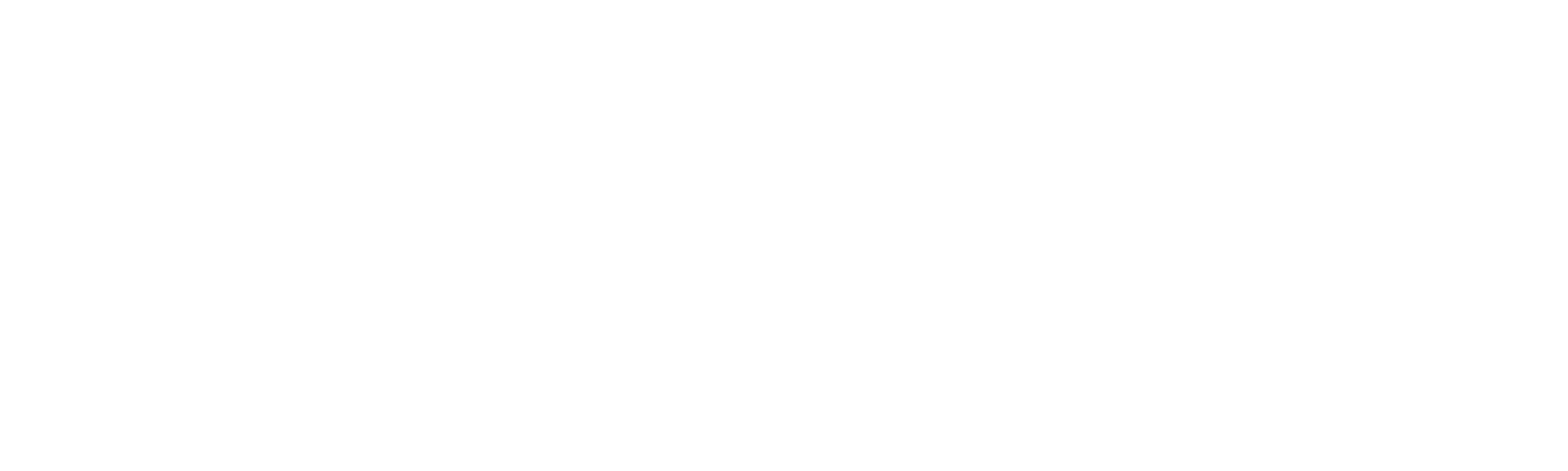 Tsunami: The Aftermath