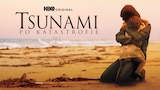 Tsunami: Po katastrofie