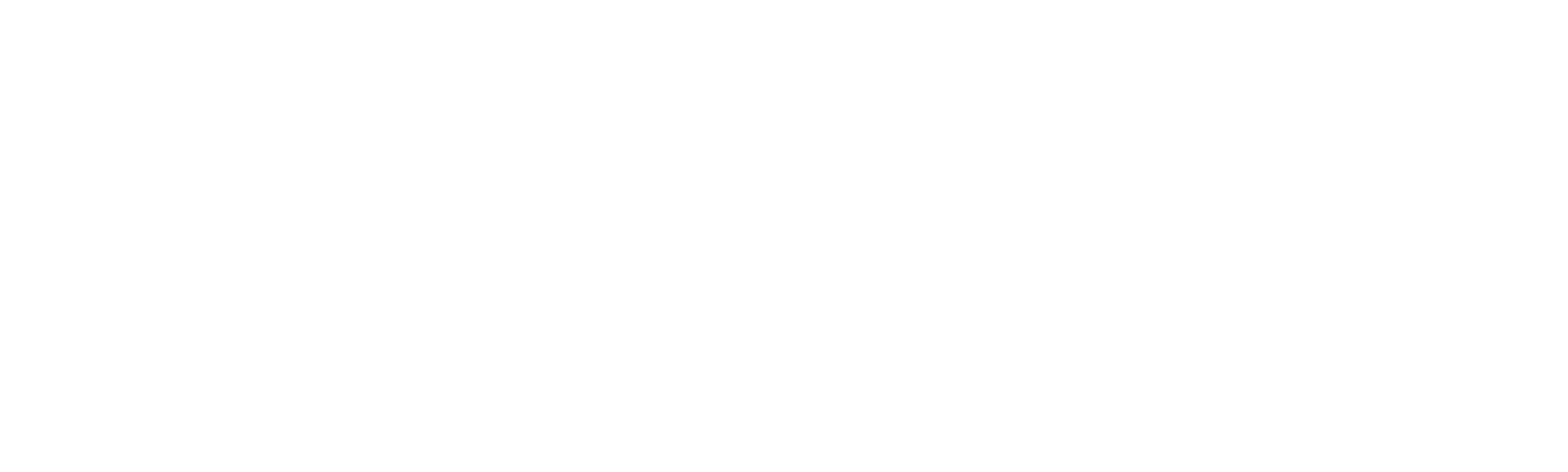 Tsunami: După dezastru