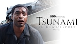 Tsunami: El día después