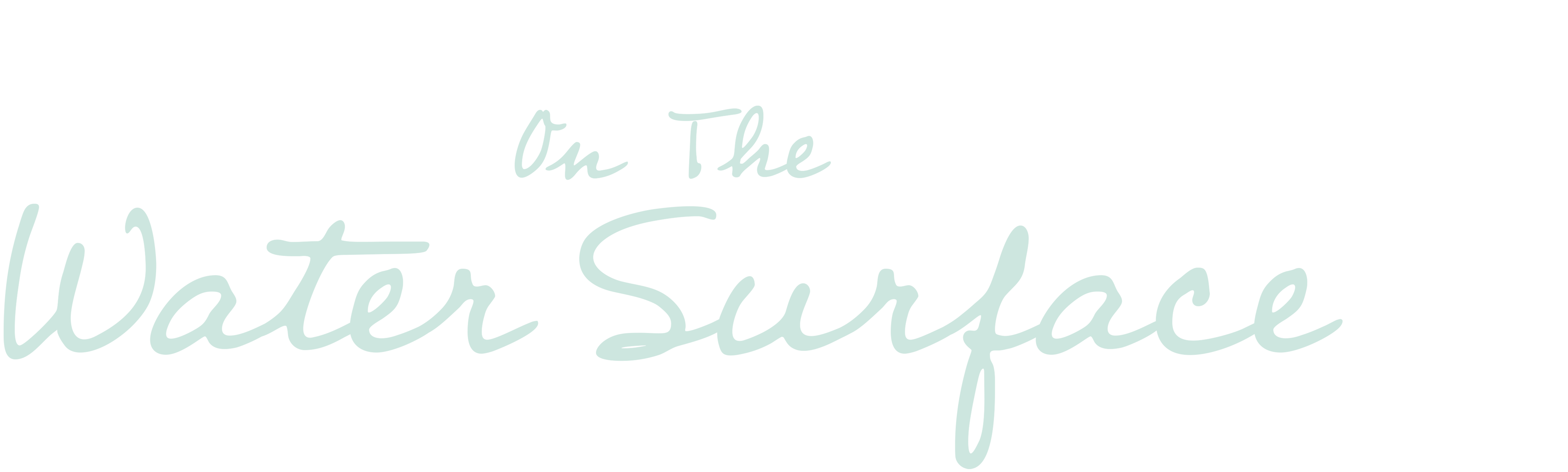 On The Water Surface