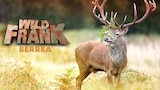 Wild Frank: La Berrea