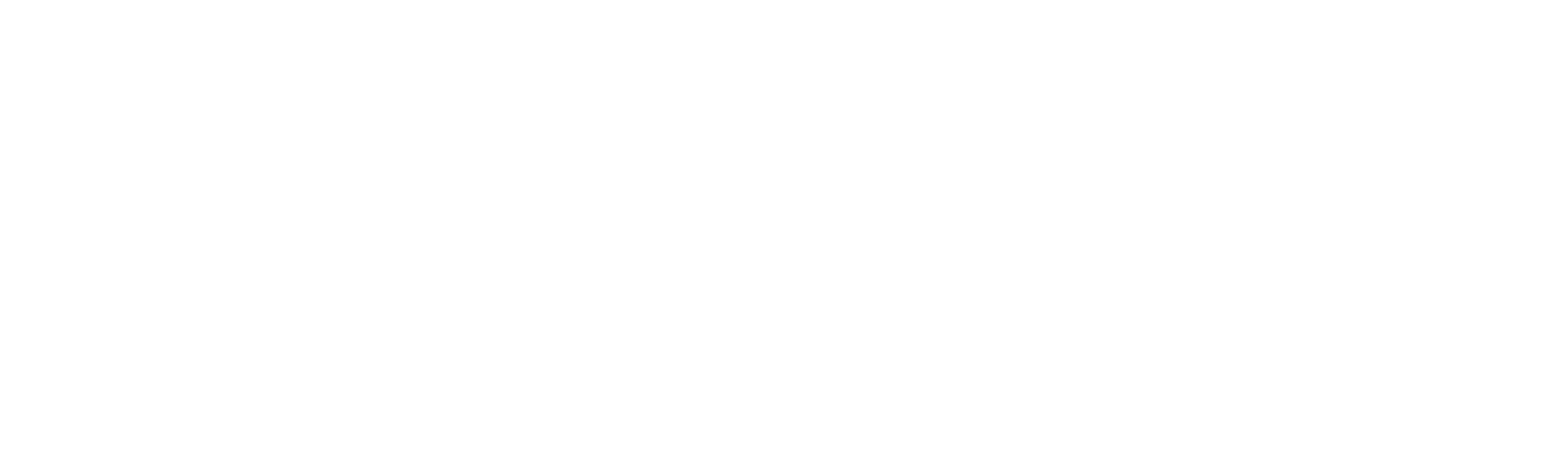 La Supremacía de Bourne