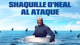Shaquille O'Neal al ataque