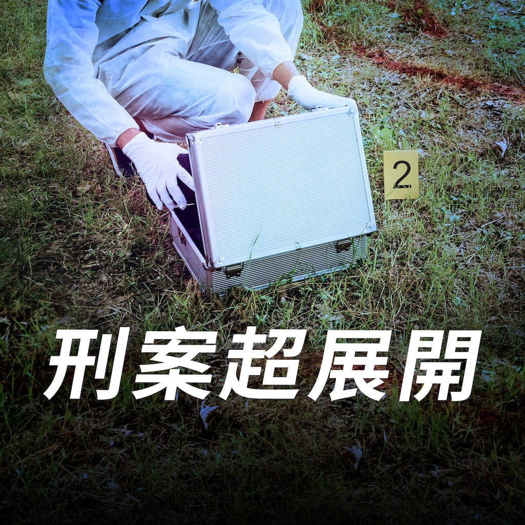 刑案超展開