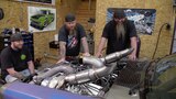 The Wild Mustang
