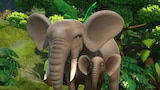 Mission: Elephant Family Rescue
