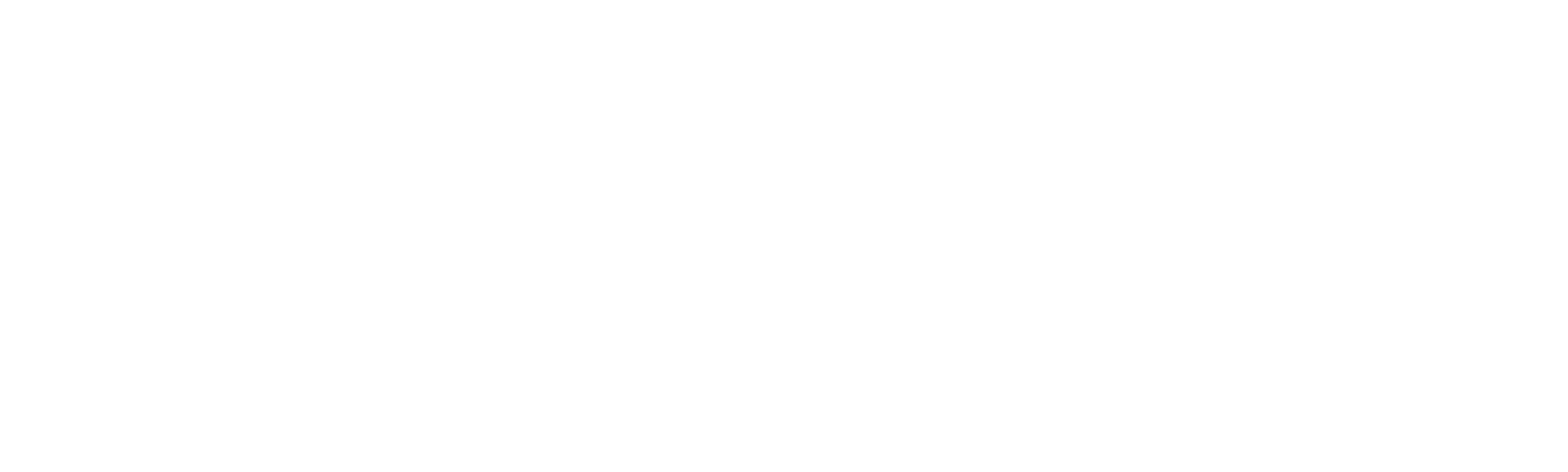 Erlend og Steinar hjelper deg