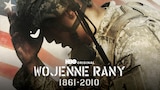 Wojenne rany 1861-2010