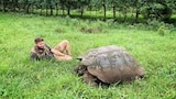 The Galapagos Giant