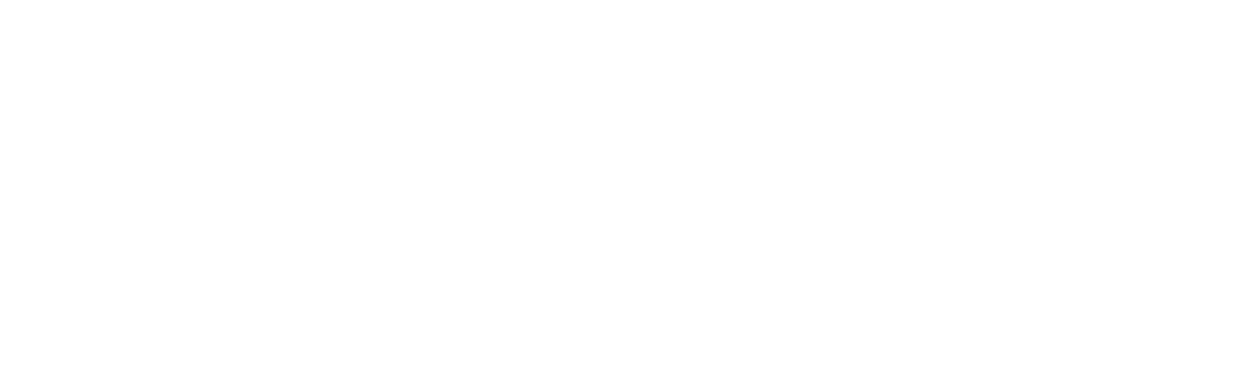 Streets with Dan Hong