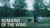 Remains of the Wind