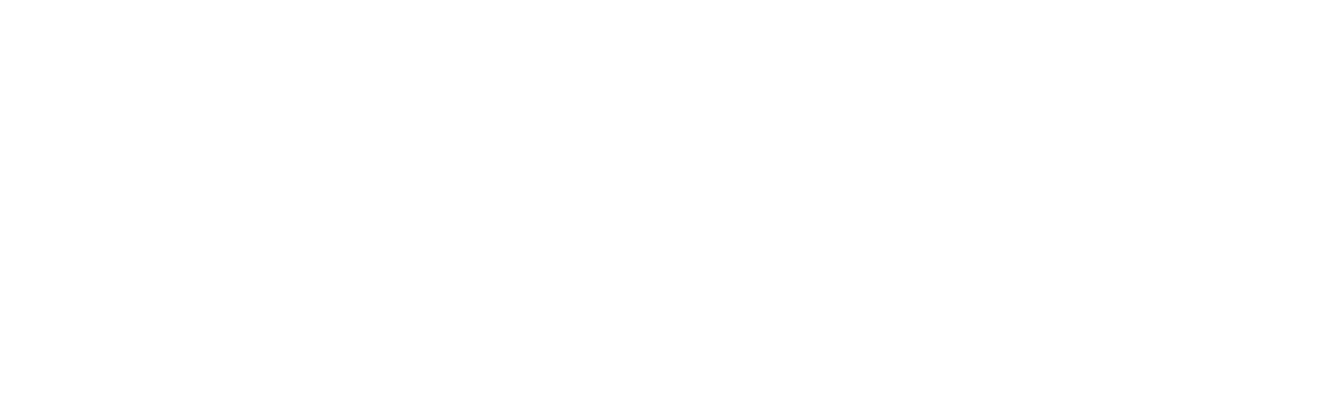 BBQ Pitmasters