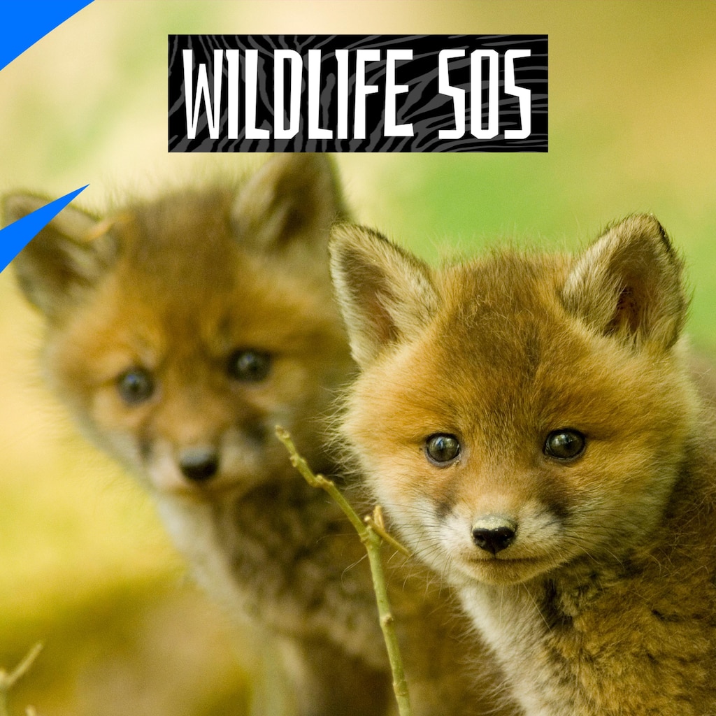 Wildlife SOS