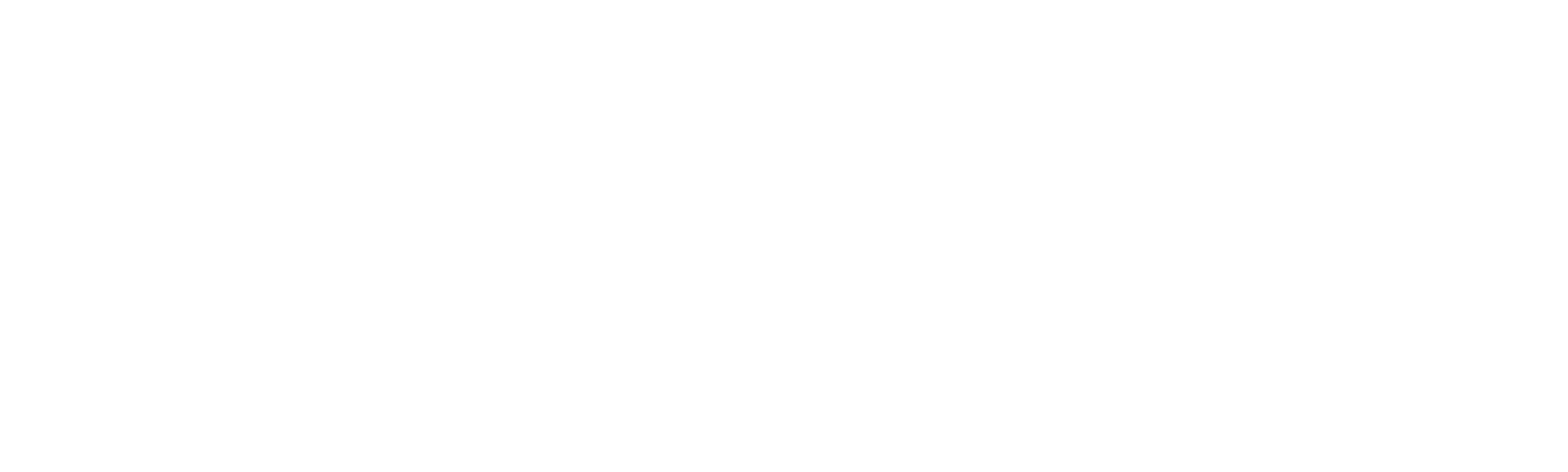 Project Christmas Wish