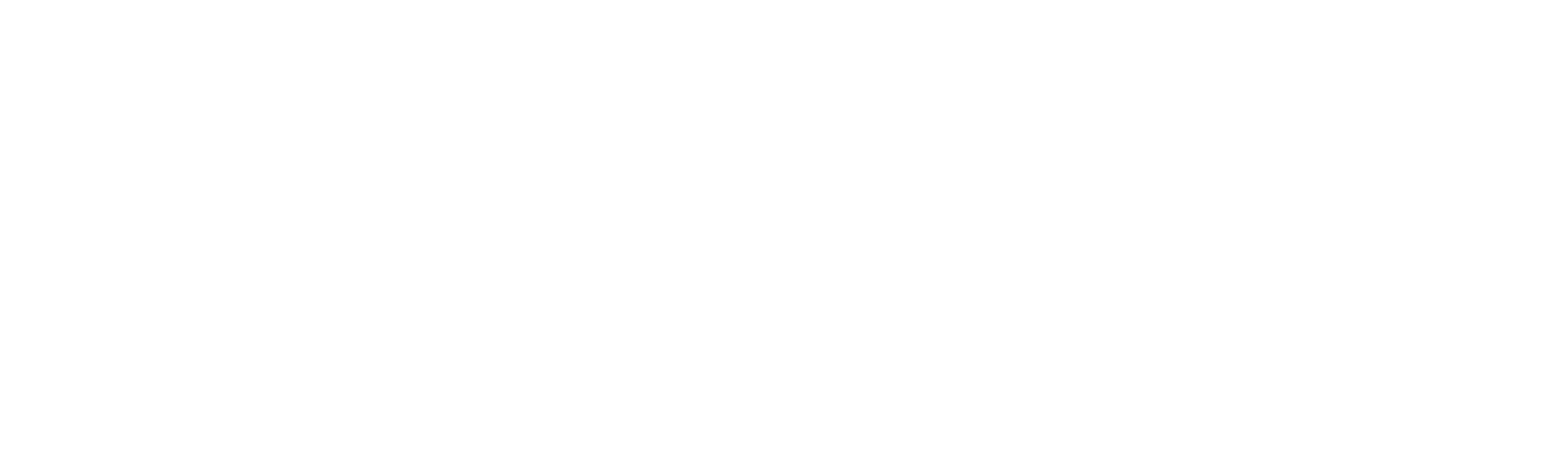 The Exception (2019)