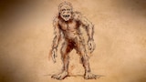 Mystery of the Minnesota Wildman