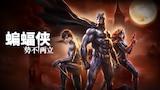 蝙蝠侠:势不两立