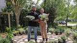 The Anti-Lawn Makeover