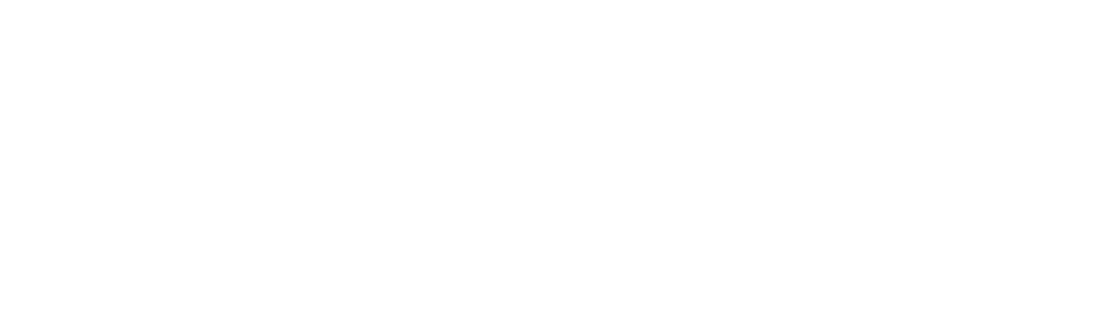 Oslopolisen