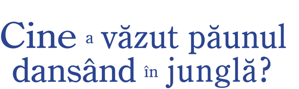 Cine a văzut păunul dansând în junglă?