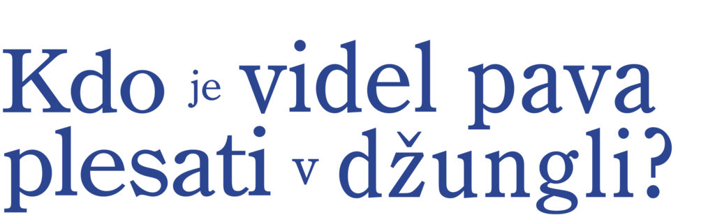 Kdo je videl pava plesati v džungli?