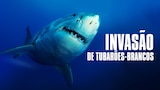 Invasão de Tubarões-brancos