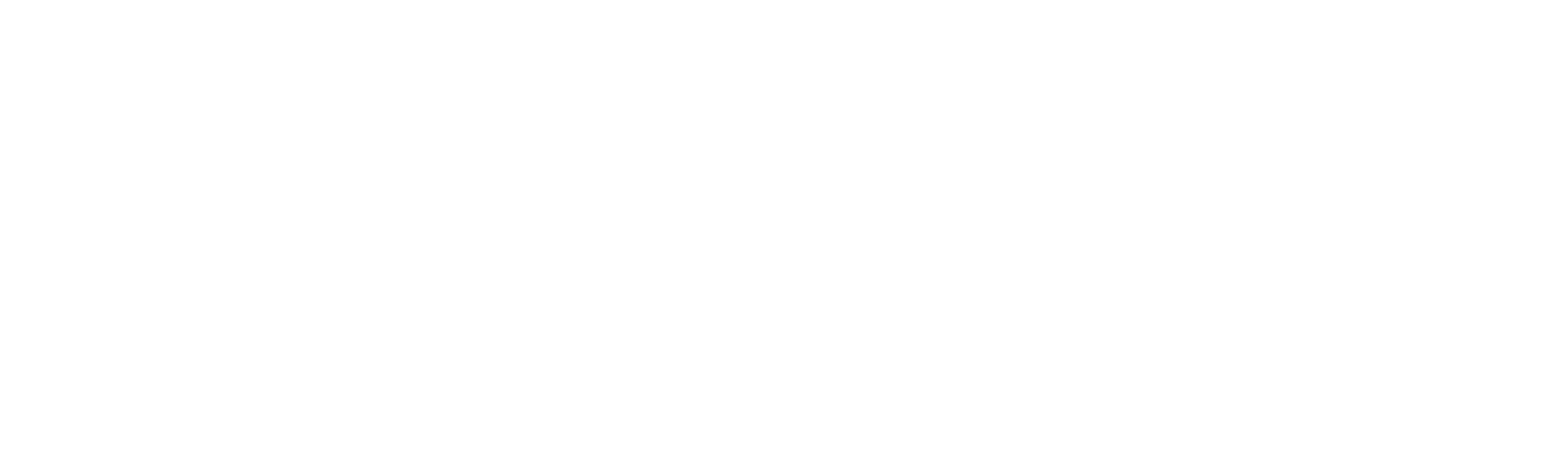 Cleaner