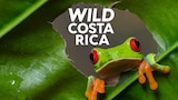 Wild Costa Rica