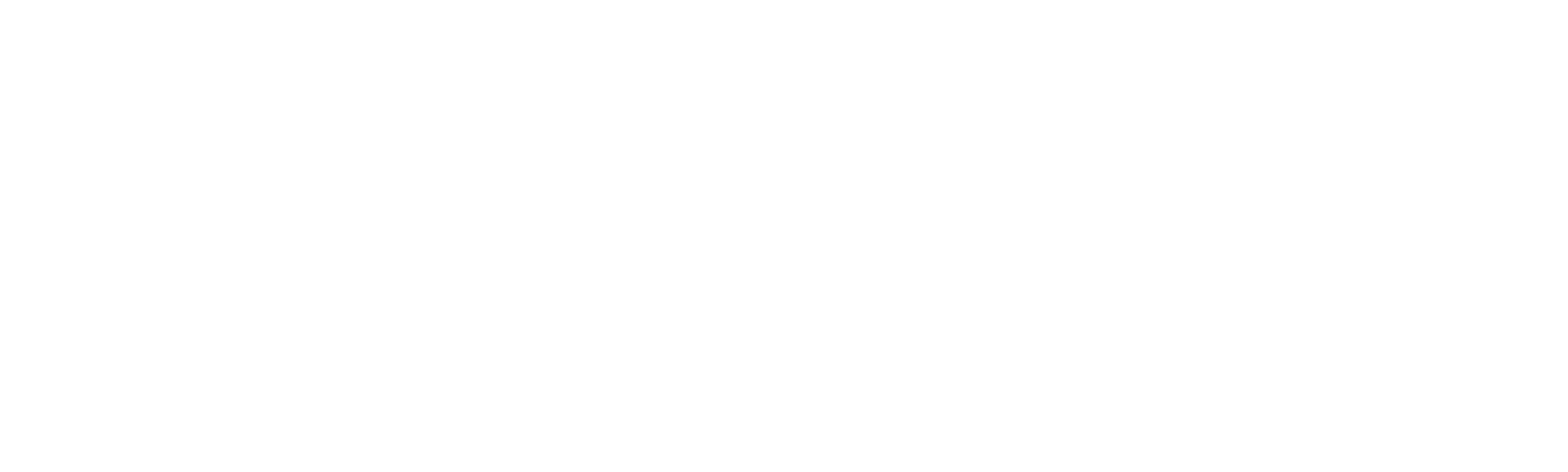 Njena druga priložnost