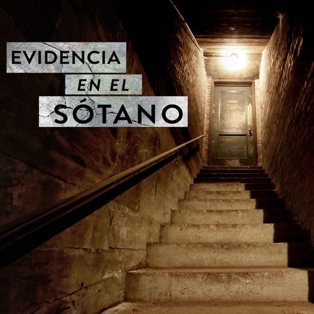 Evidencia en el sótano