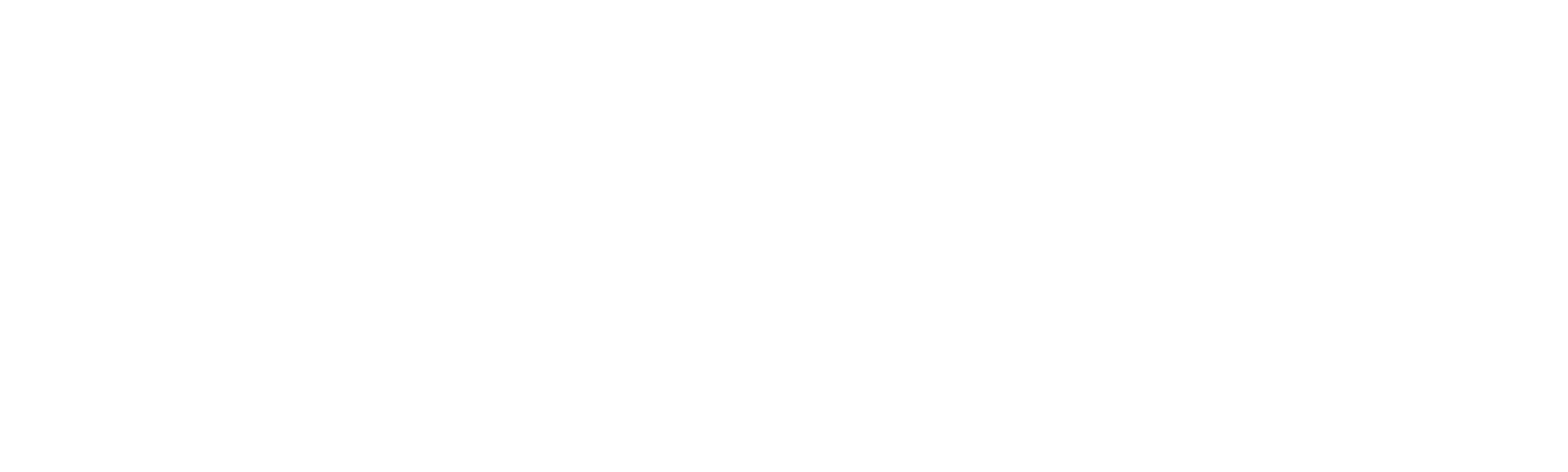 The Rink