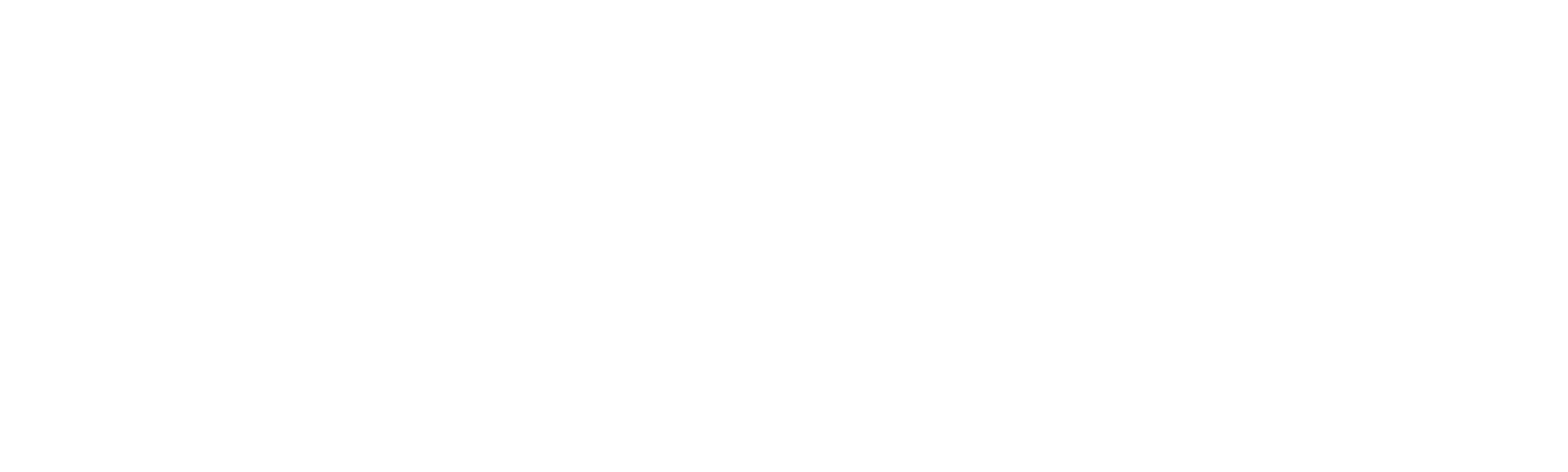 A Night in the Show