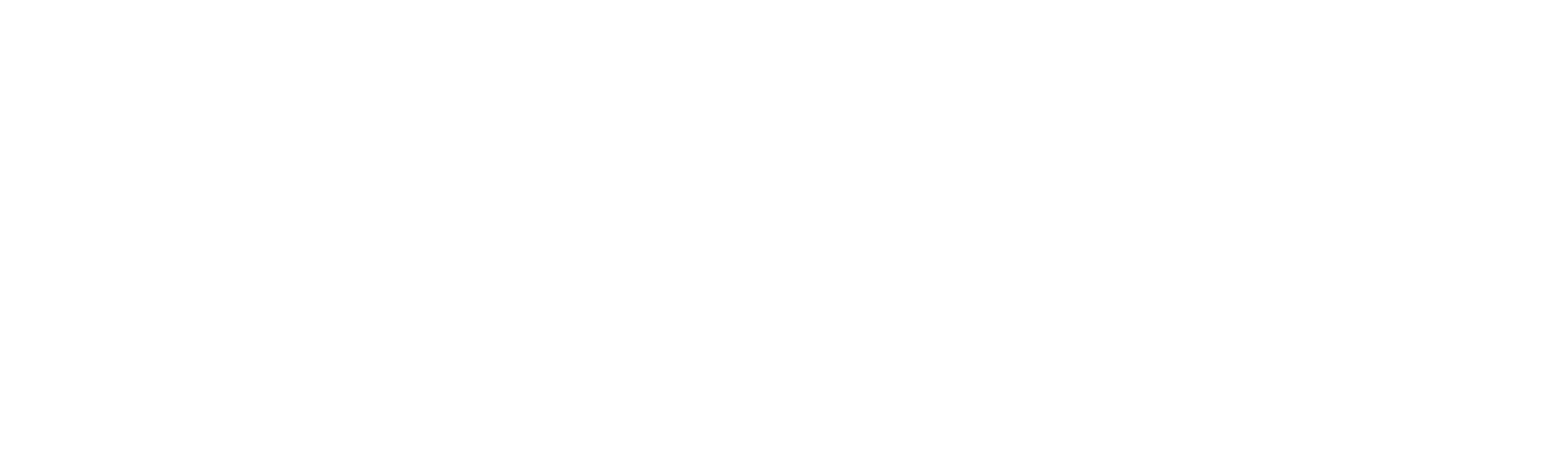 The Watchers