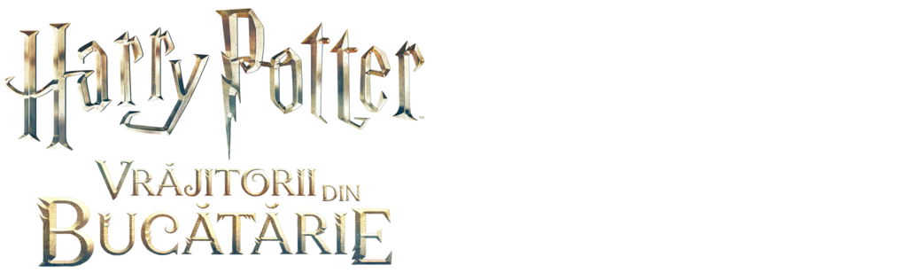 Harry Potter: Vrăjitorii din bucătărie