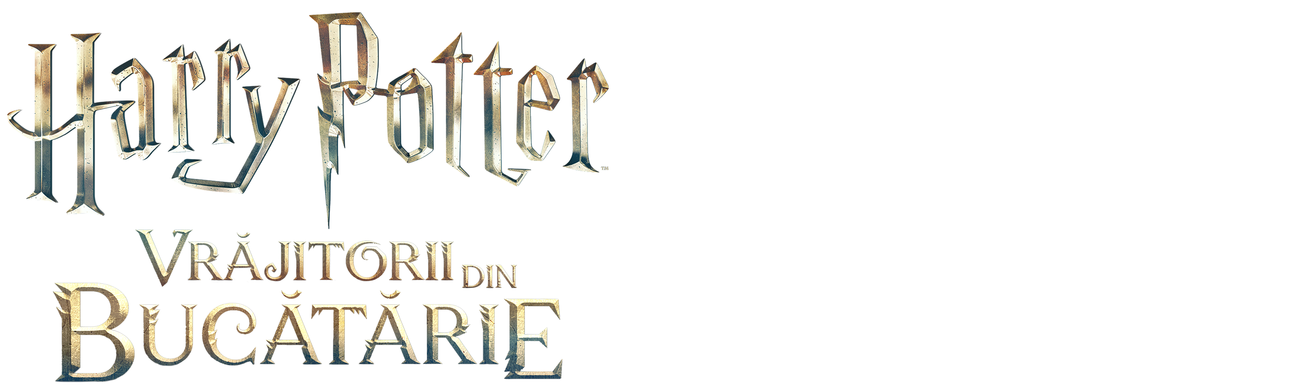 Harry Potter: Vrăjitorii din bucătărie