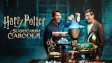 Harry Potter: Slaščičarski čarodeji