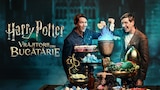 Harry Potter: Vrăjitorii din bucătărie