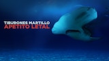 Tiburones martillo: Apetito letal