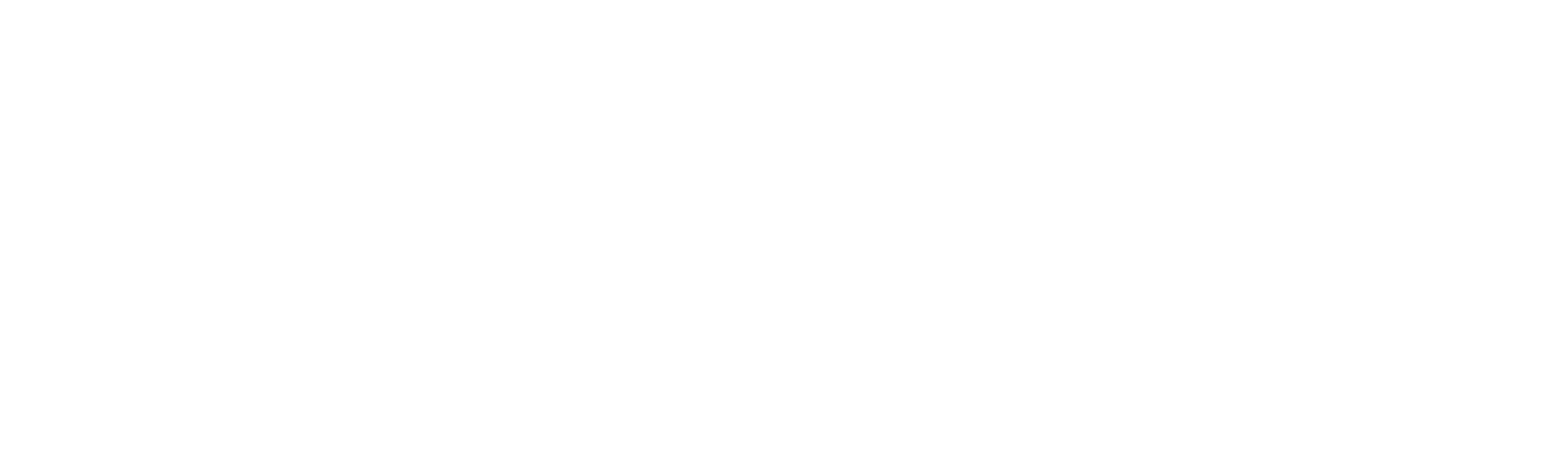 90 Day Journey: Corey & Evelin