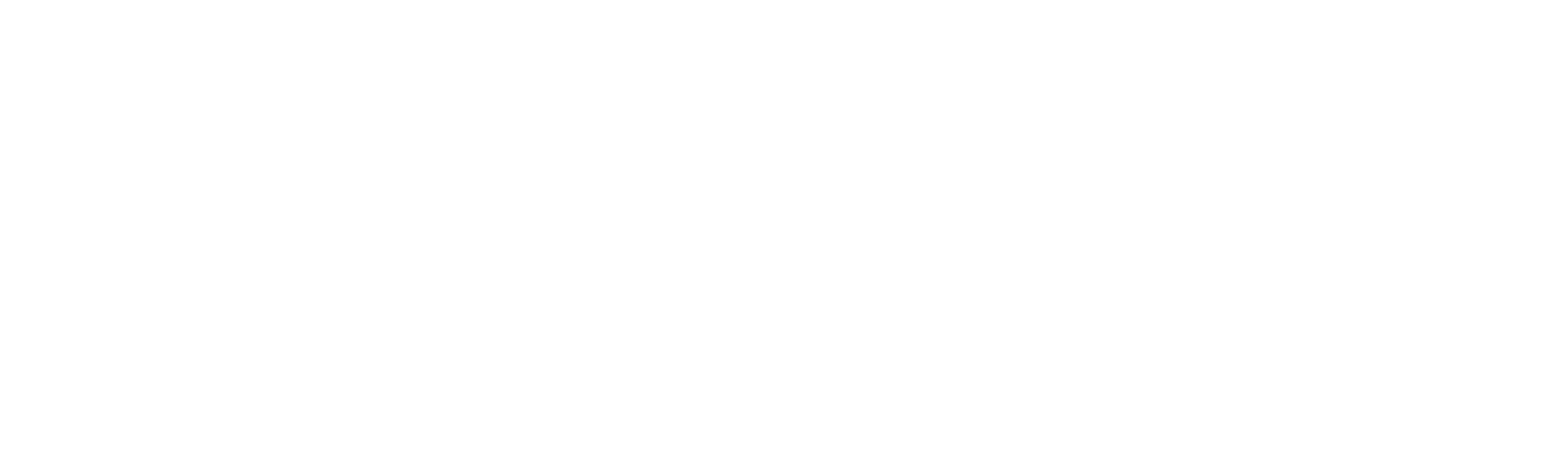 Rizo