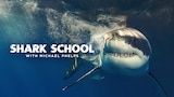 Shark School With Michael Phelps