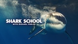 Shark School With Michael Phelps