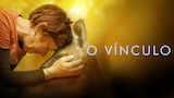 O Vínculo