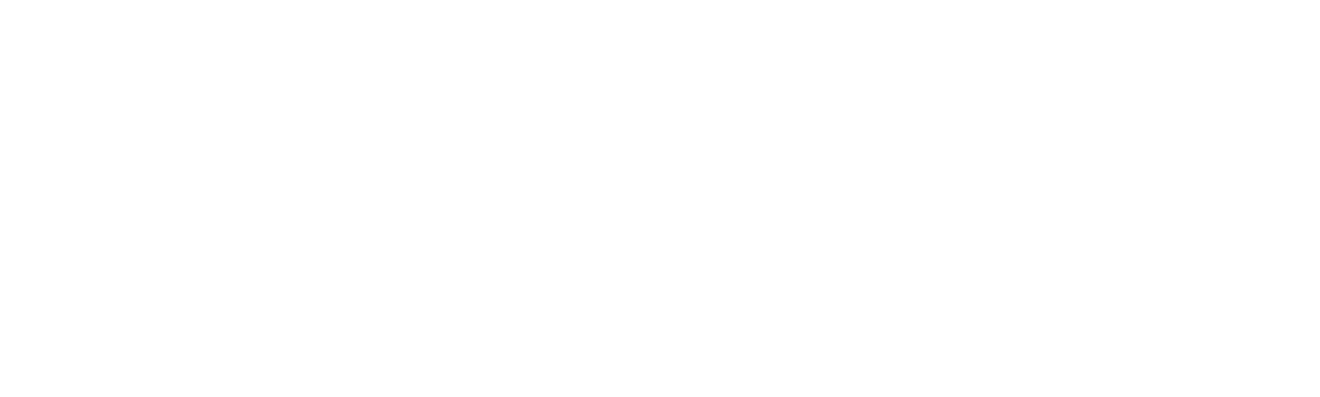 Un vínculo especial