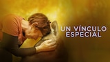Un vínculo especial