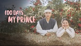 100 Days My Prince