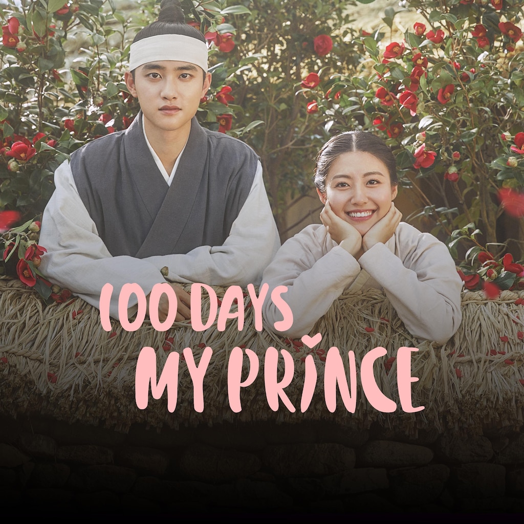 100 Days My Prince