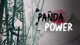 Panda Power - The Rise of Furry Diplomats